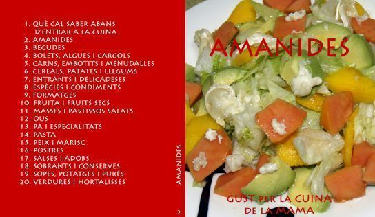 Vol. 2 Amanides