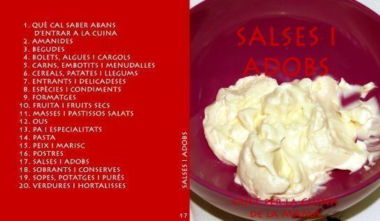 Vol. 17 Salses i adobs