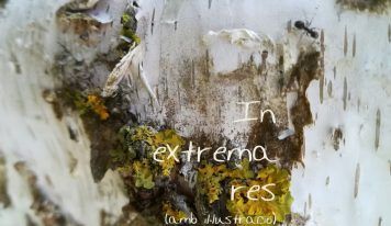 In extrema res